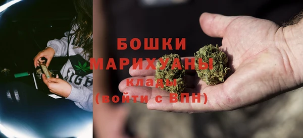 гидра Киренск