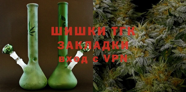 мдпв Киреевск