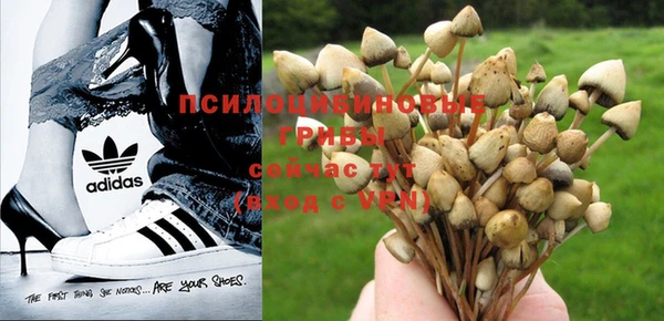 твердый Кинешма