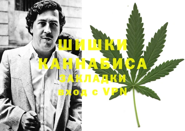 гидра Киренск