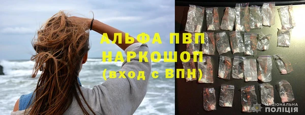 гидра Киренск