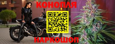 метадон Гусев