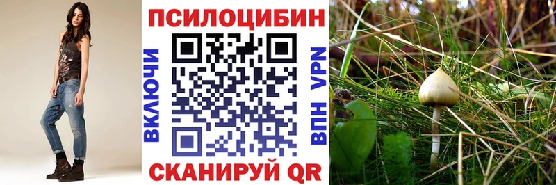 Псилоцибиновые грибы MAGIC MUSHROOMS  где продают наркотики  Первоуральск 