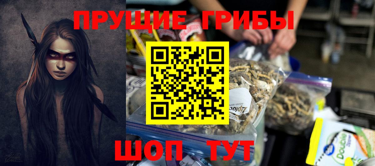 Первоуральск  Галлюциногенные грибы Psilocybe  Вход с VPN 